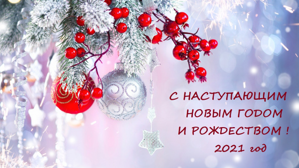 Поздравляем с Новым Годом и Рождеством !